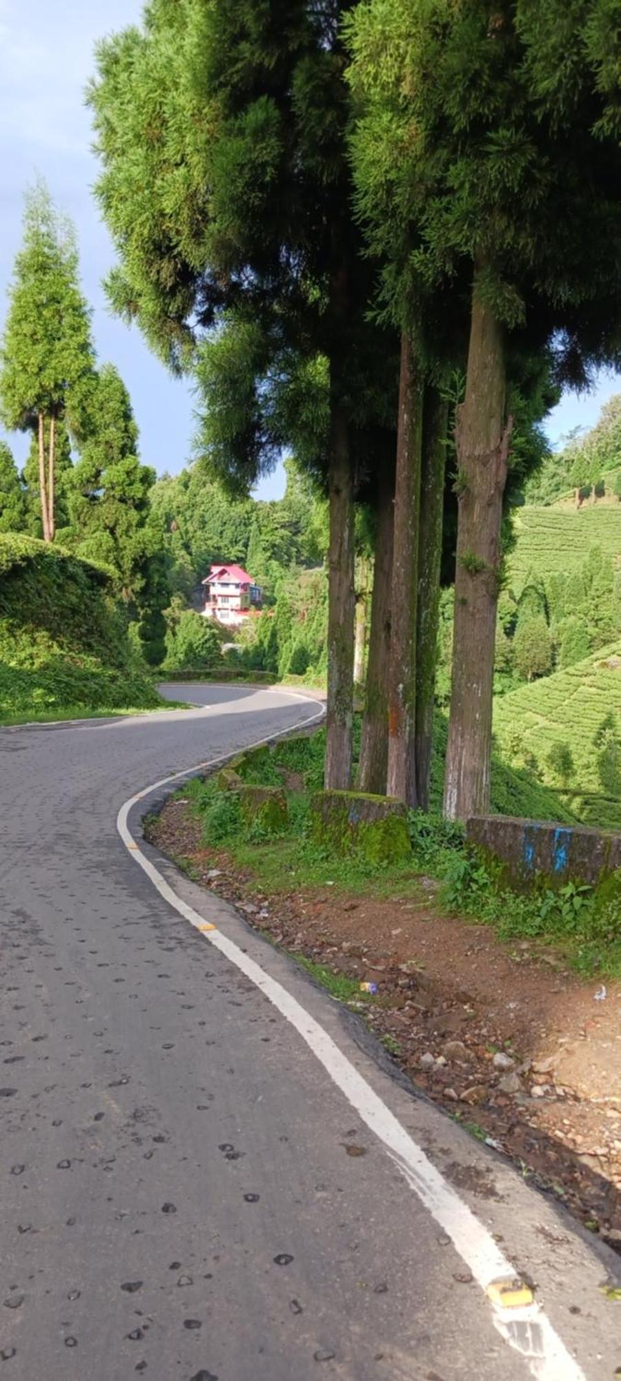Lotus Homestay ดาร์จีลิง ภายนอก รูปภาพ